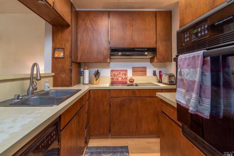 37037 Annapolis Rd, Annapolis, CA 95412 photo 16