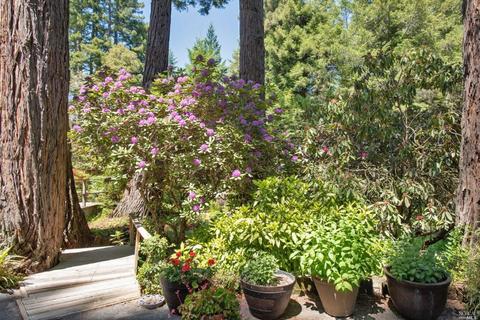 37037 Annapolis Rd, Annapolis, CA 95412 photo 7