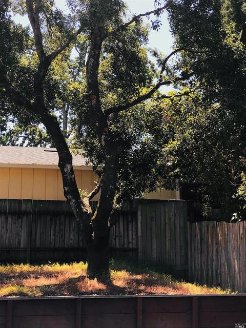 112 E Agua Caliente Rd, Sonoma, CA 95476 photo 23