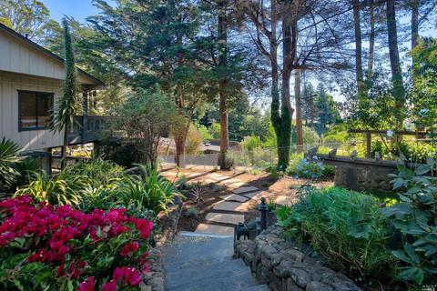 473 Panoramic Hwy, Mill Valley, CA 94941 photo 68