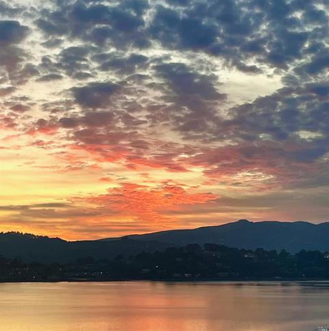 23 Sonora Ct, Tiburon, CA 94920 photo 34