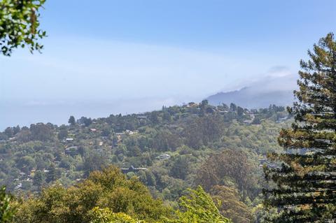 2 Cedarwood Ln, Mill Valley, CA 94941 photo 61