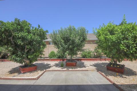 160 Currant Ln, Vacaville, CA 95687 photo 28