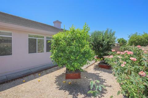 160 Currant Ln, Vacaville, CA 95687 photo 33