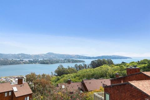 470 Headlands Ct, Sausalito, CA 94965 photo 20