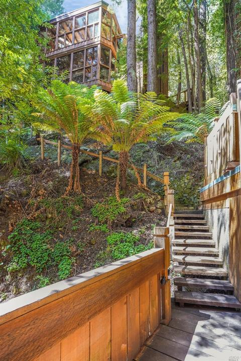 265 Cascade Dr, Mill Valley, CA 94941 photo 5