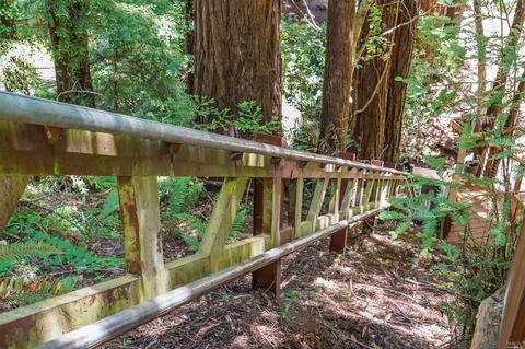 265 Cascade Dr, Mill Valley, CA 94941 photo 49