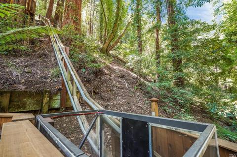 265 Cascade Dr, Mill Valley, CA 94941 photo 50