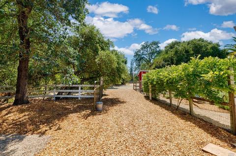 18850 Olive Ave, Sonoma, CA 95476 photo 41