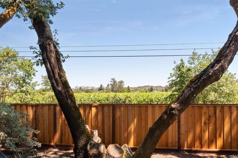 984 Ginkgo Pl, Windsor, CA 95492 photo 25