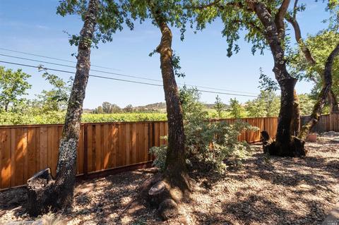 984 Ginkgo Pl, Windsor, CA 95492 photo 28