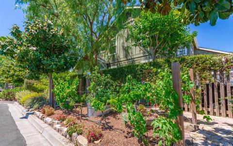 1278 Ingram Dr, Sonoma, CA 95476 photo 64