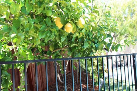 101 Malaga Ct, Vallejo, CA 94591 photo 42
