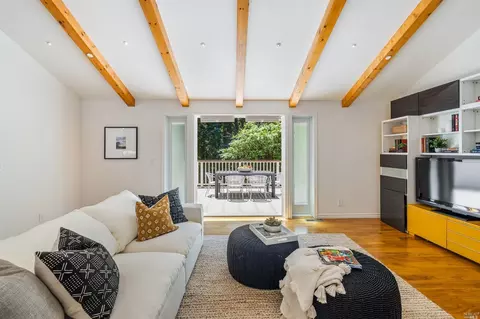 425 Eldridge Ave, Mill Valley, CA 94941 photo 20