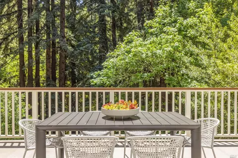 425 Eldridge Ave, Mill Valley, CA 94941 photo 22