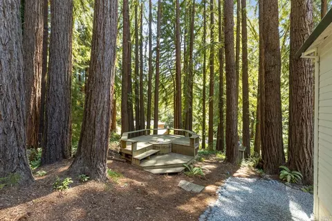 425 Eldridge Ave, Mill Valley, CA 94941 photo 40