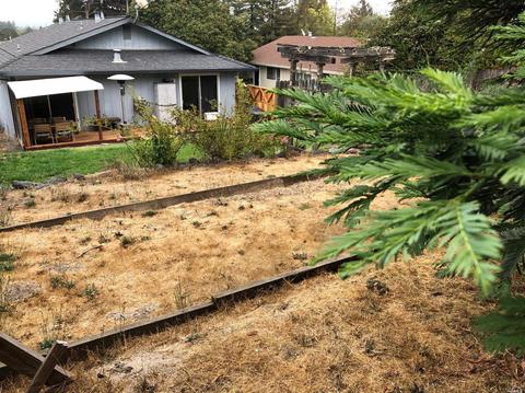 260 W Cotati Ave, Cotati, CA 94931 photo 36