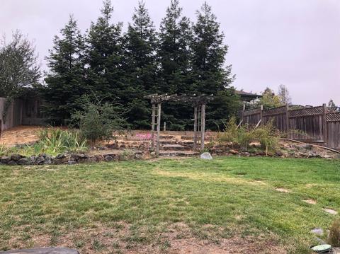 260 W Cotati Ave, Cotati, CA 94931 photo 31