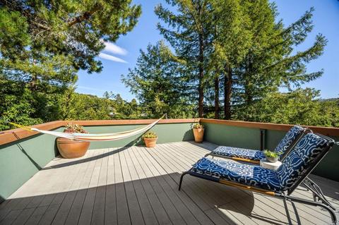 115 Circle Ave, Mill Valley, CA 94941 photo 41