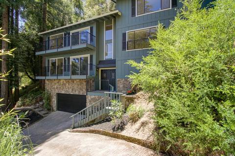 1069 Meadowsweet Dr, Corte Madera, CA 94925 photo 39