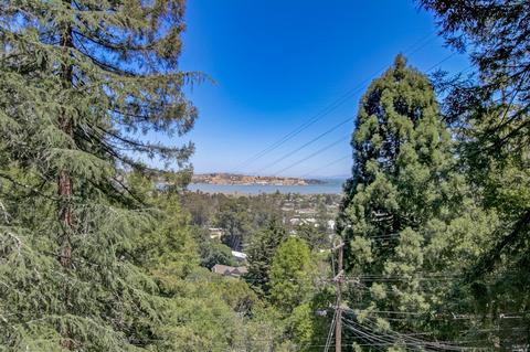 1069 Meadowsweet Dr, Corte Madera, CA 94925 photo 3
