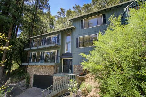 1069 Meadowsweet Dr, Corte Madera, CA 94925 photo 36