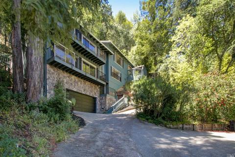 1069 Meadowsweet Dr, Corte Madera, CA 94925 photo 35