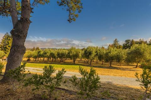4381 Bodega Ave, Petaluma, CA 94952 photo 41