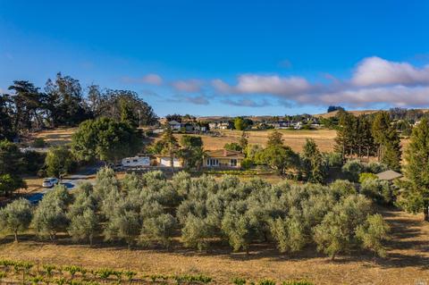 4381 Bodega Ave, Petaluma, CA 94952 photo 51