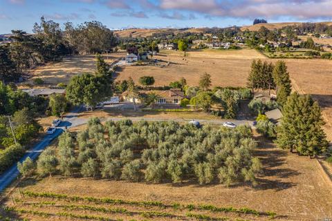 4381 Bodega Ave, Petaluma, CA 94952 photo 52