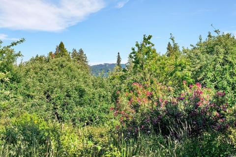 2263 Marra Rd, Occidental, CA 95465 photo 11