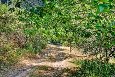 2263 Marra Rd, Occidental, CA 95465 photo 35