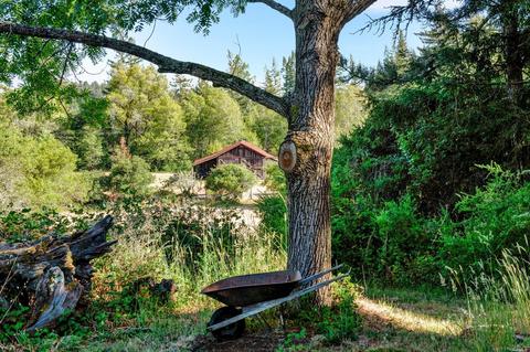 2263 Marra Rd, Occidental, CA 95465 photo 5
