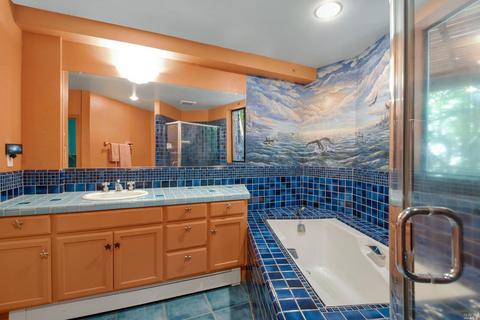 2202 Joy Ridge Rd, Occidental, CA 95465 photo 40