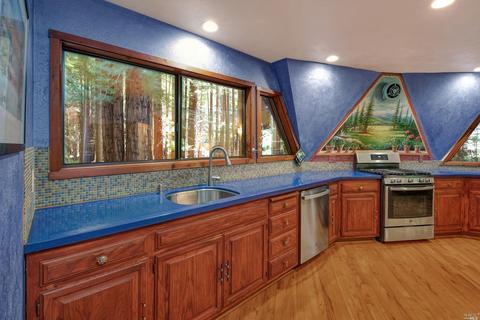 2202 Joy Ridge Rd, Occidental, CA 95465 photo 14