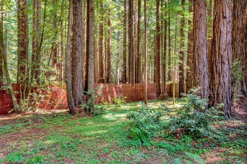 2202 Joy Ridge Rd, Occidental, CA 95465 photo 48