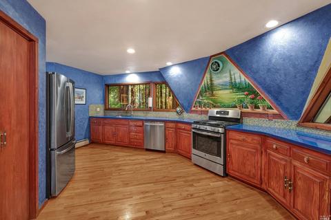 2202 Joy Ridge Rd, Occidental, CA 95465 photo 13