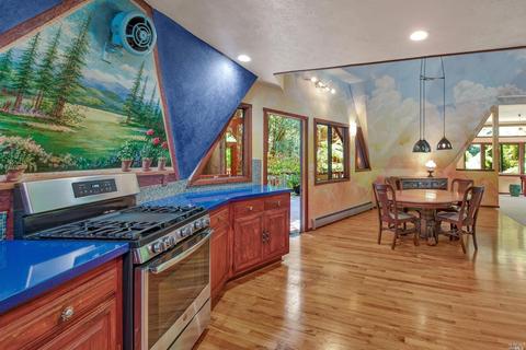 2202 Joy Ridge Rd, Occidental, CA 95465 photo 15