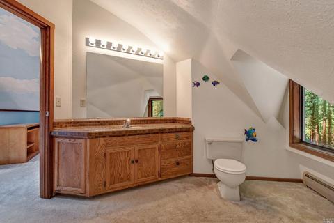 2202 Joy Ridge Rd, Occidental, CA 95465 photo 28