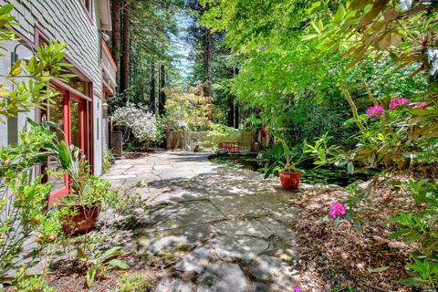 2202 Joy Ridge Rd, Occidental, CA 95465 photo 52