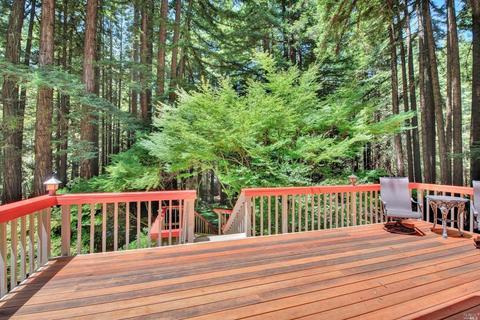 2202 Joy Ridge Rd, Occidental, CA 95465 photo 21