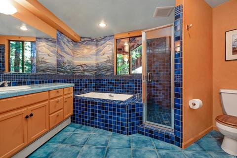 2202 Joy Ridge Rd, Occidental, CA 95465 photo 39