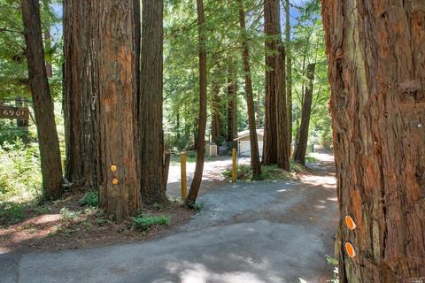 6901 Lucas Valley Rd, Nicasio, CA 94946 photo 23