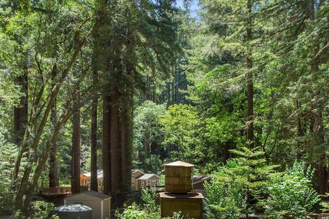 6901 Lucas Valley Rd, Nicasio, CA 94946 photo 24