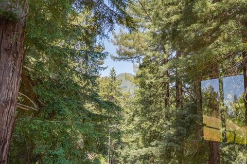 35 Florence Ave, Mill Valley, CA 94941 photo 53