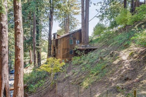 35 Florence Ave, Mill Valley, CA 94941 photo 54