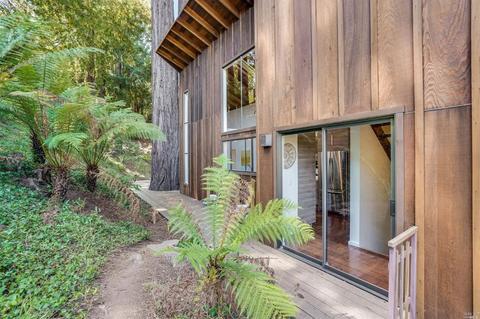 35 Florence Ave, Mill Valley, CA 94941 photo 49