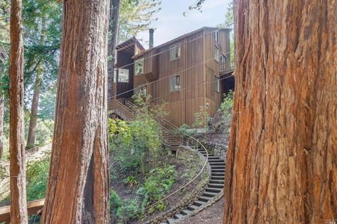 35 Florence Ave, Mill Valley, CA 94941 photo 41