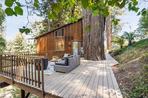 35 Florence Ave, Mill Valley, CA 94941 photo 46
