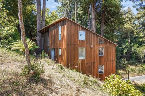 35 Florence Ave, Mill Valley, CA 94941 photo 52